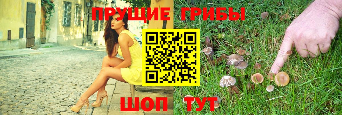 Псилоцибиновые грибы Magic Shrooms Севастополь